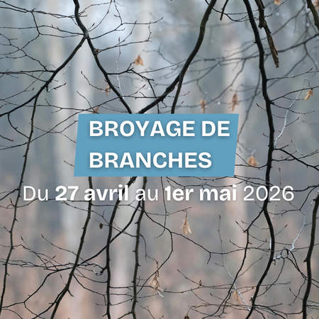 Illustration de l'actualité - cliquer pour agrandir