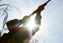 Chasse : calendrier des fermetures des routes et chemins (2025-2026)
