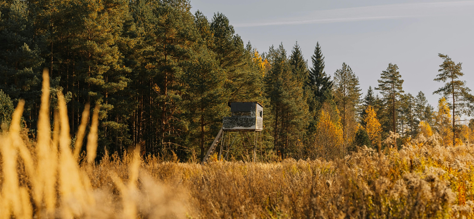 Fermetures des chemins forestiers pour motif de chasse