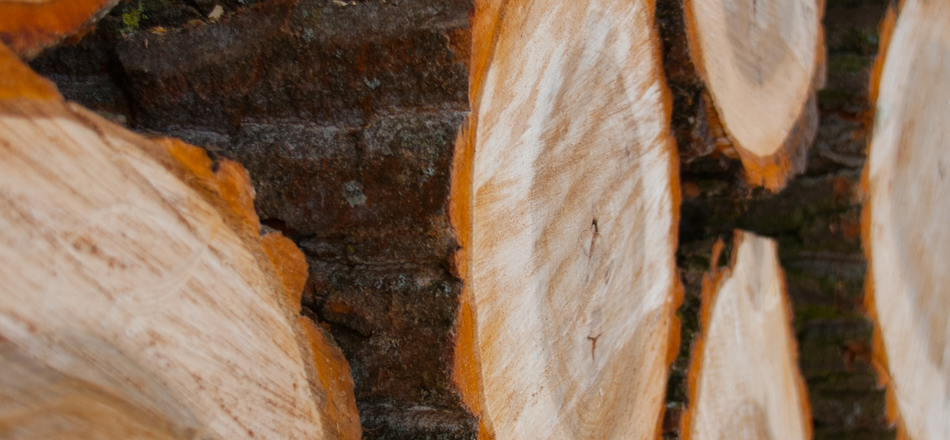 Vente publique de bois de chauffage